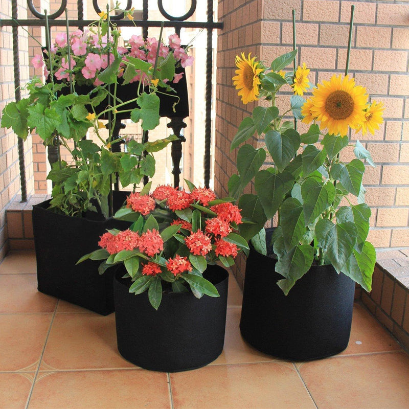 Pack of 10 Fabric Breathable Grow Pots Planter Bags with Handle_4