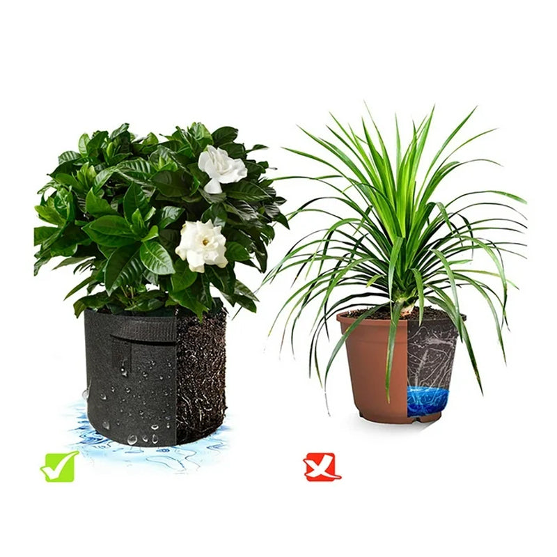 Non-Woven Fabric Reusable and Breathable Growing Planter Pots in 5, 10, and 20 Gallon_10