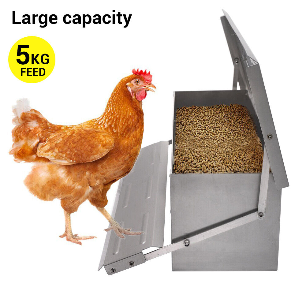 Heavy Large 5KG Treadle Automatic Farm Poultry Feeder Kit_5
